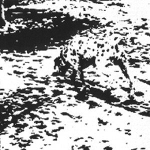 illus04